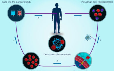 Car-T Cells